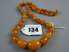 A GRADUATED SET OF EGG YOLK AMBER BEADS, approximate measurements 44 cms long, the largest bead 2