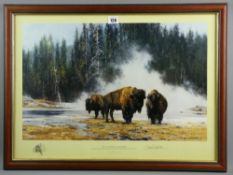 DAVID SHEPHERD OBE limited edition (985/1500) print - titled 'The Hot Springs of Yellowstone',