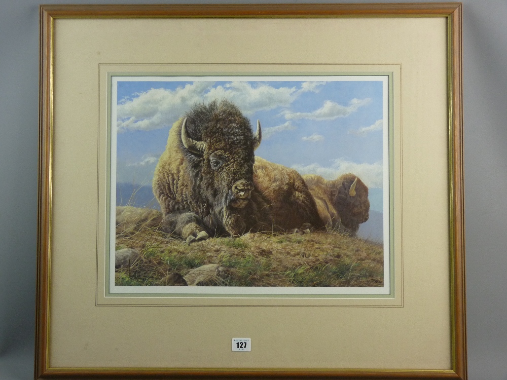 LEE CABLE limited edition (35/500) print - 'Once We Were Many', study of recumbent buffalo/bison,