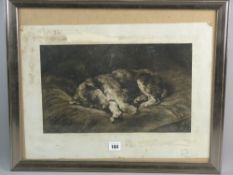 HERBERT DICKSEE RE (1862-1942) etching - 'On Velvet' a puppy asleep on a velvet cushion, published