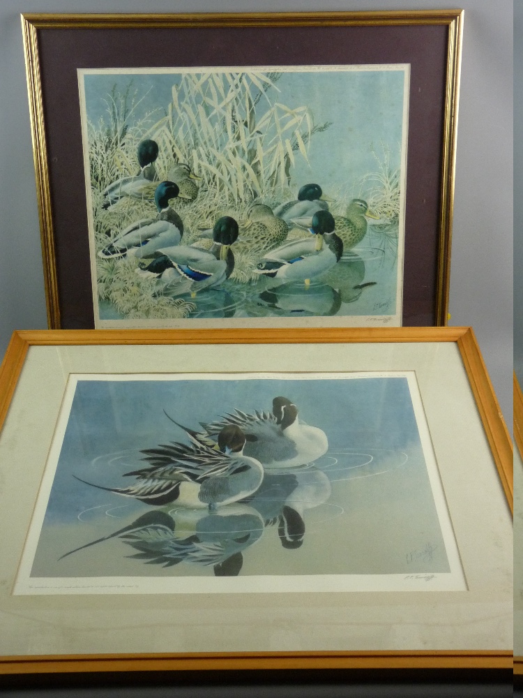 CHARLES FREDERICK TUNNICLIFFE limited edition coloured prints - study of ducks on the water's