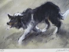 WILLIAM SELWYN artist proof print - stalking sheep dog, signed in full, 14.5 x 19.5cms