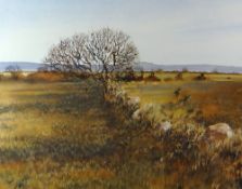 DAVID TRESS watercolour - expansive landscape with tree, hedges and stone wall, signed and dated