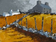 WYN HUGHES oil on board - hillside whitewashed cottage and hillside grey washed house, signed, 19.