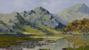 CHARLES WYATT WARREN oil on board - Snowdonia lake scene with silver birch trees etc, signed and