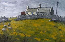 WYN HUGHES oil on board - Anglesey farmstead cottage and telegraph pole, signed, 47 x 72cms