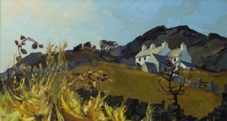 AUDREY HIND oil on board - Anglesey cottages probably at Mynydd Bodafon, signed, 49 x 90cms