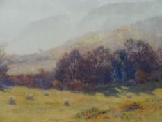 GEORGE COCKRAM watercolour - rural scene with grazing sheep, signed, 23 x 34cms