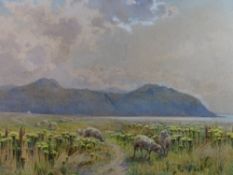 HAROLD SWANWICK watercolour - sheep grazing on the Deganwy marshes, with Conwy/Penmaenmawr