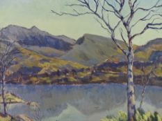 CHARLES WYATT WARREN two early oils on board - Llyn Padarn and Snowdon, signed, 39 x 49cms and -
