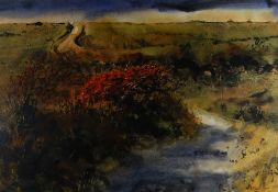 DAVID TRESS watercolour - landscape entitled 'Red Thorn Coast Road', signed and dated 1985, 35 x