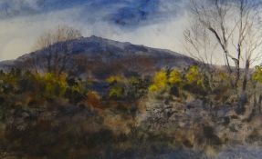 DAVID TRESS watercolour - Pembrokeshire landscape entitled verso 'Last Light, Carn Ingli', signed,