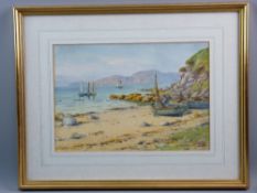 WARREN WILLIAMS ARCA watercolour - Anglesey coastal scene with numerous boats and fisherman with