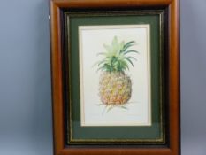 JOAN PONTIN watercolour - still life, study of a pineapple, signed, 24.5 x 16.5 cms