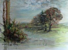 DOROTHY PALMER mixed media - tree lined riverbank with distant cottage entitled verso, 'River