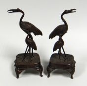 A PAIR OF CHINESE BRONZE CRANE FIGURES standing on a raised cushion base with their young, 24cms