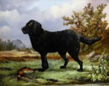 A WORTHINGTON oil on canvas - portrait of a long haired black retriever with pheasant on moorland,