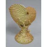 A ROYAL WORCESTER BLUSH SHELL VASE raised upon a circular foot and of naturalist form, dated 1894,