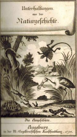 Herbstauktion - Antiquitäten · Kunst · Varia