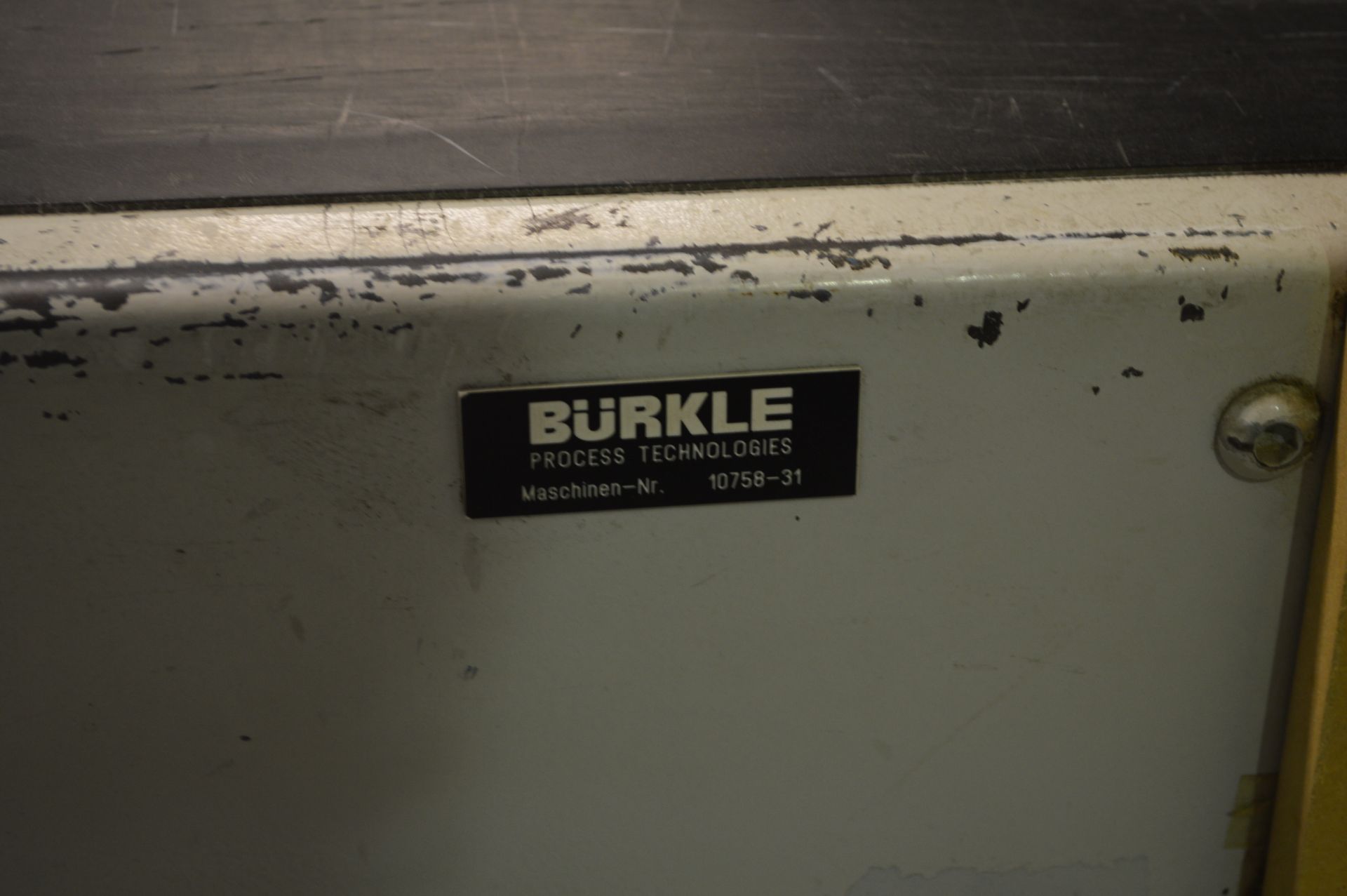Burkle Process Technologies Out-Feed Belt Conveyor - Image 2 of 2