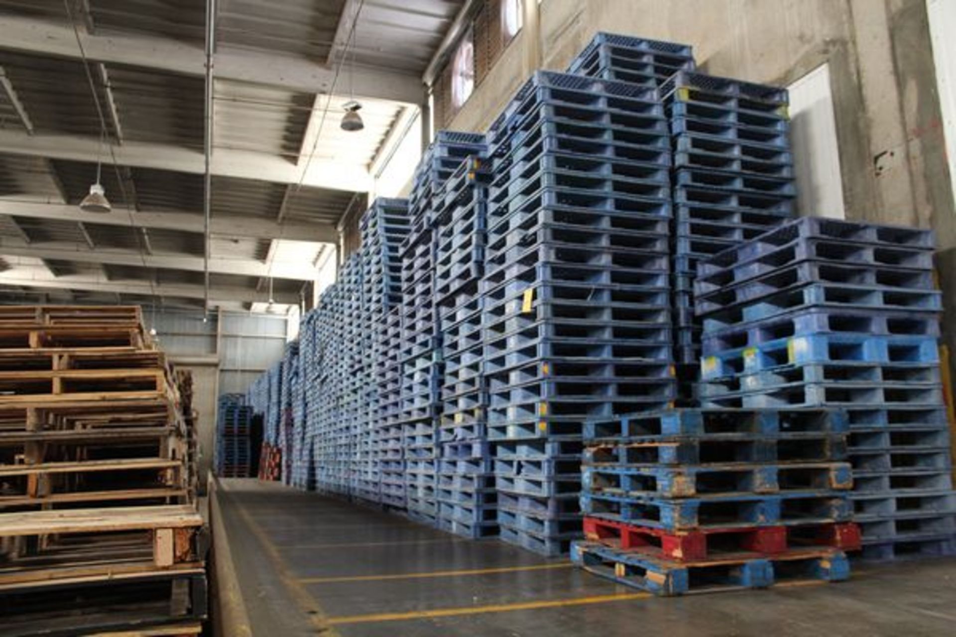 Lot of Plastic Pallets, 48"x46", Approx. 2000 | (Rail Car Bay)