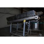 Hoppmann Conveyor - Model TP Motorized Belt Conveyor, 84 in. Length x 30 in. Wide Belt, SS Frame,