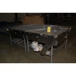 Conveyor - Motorized 2-Lane Conveyor Belt, 42 in. x 94 in. Length, 230/460 Volt, SS Frame