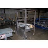 Case Packaging System, SS Frame, Motorized Conveyor, 4-Wheel Base