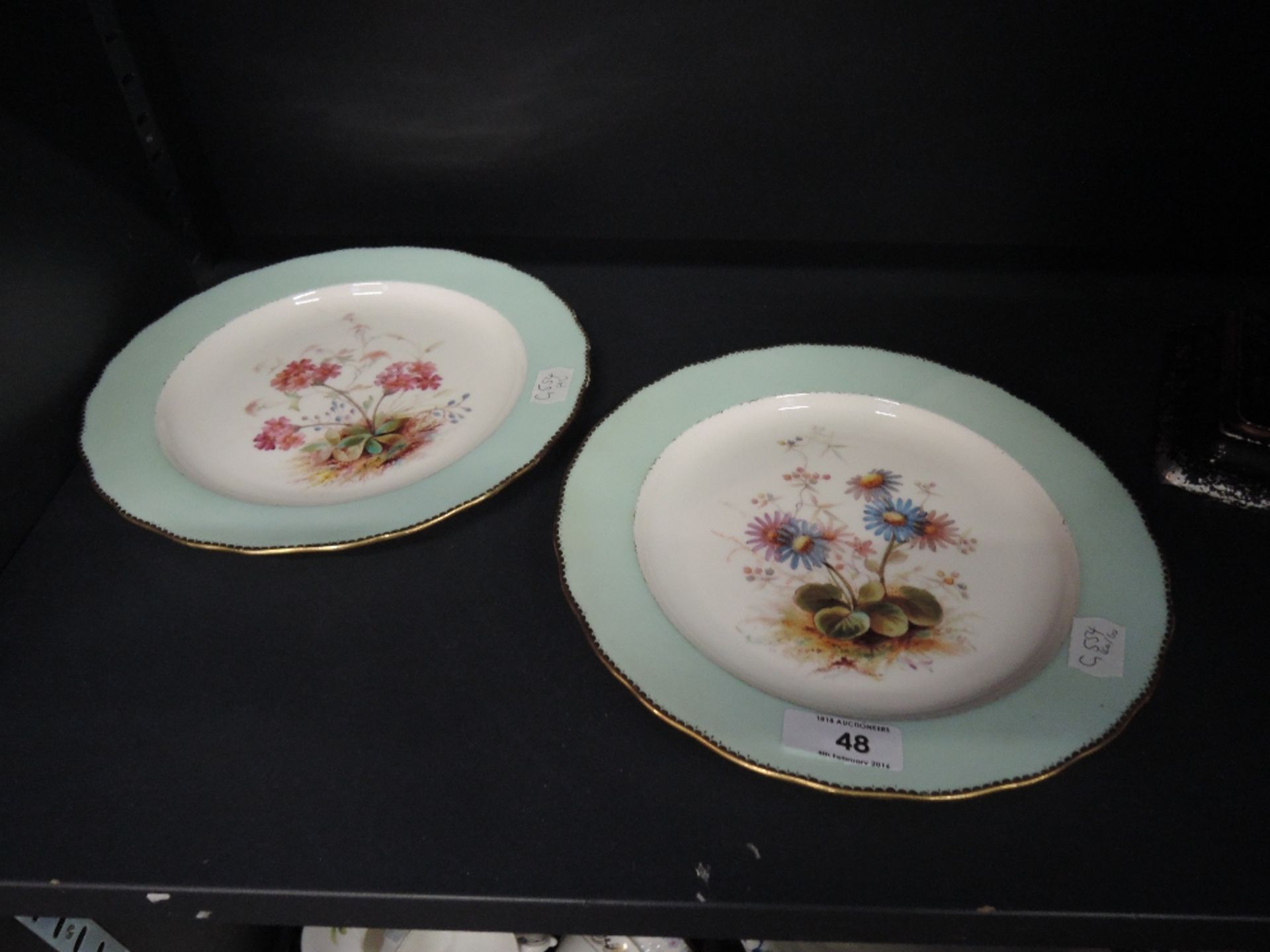 A pair of 19th century Derby plates having hand-painted pictorial floral decoration