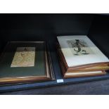 A selection of prints after Louis Wain, various