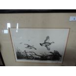 Four etchings bird interest after R B Woodhouse