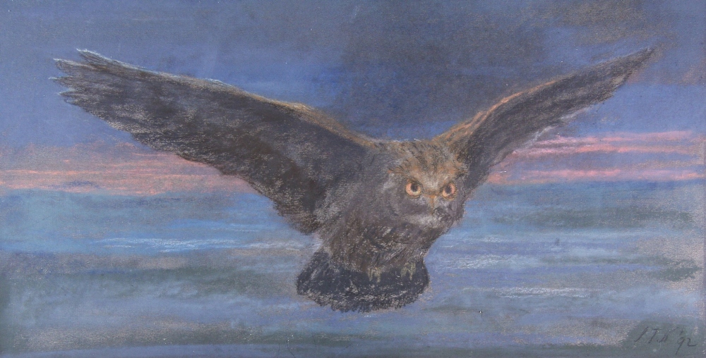 JOHN TRIVETT NETTLESHIP (1841-1902) AN OWL IN FLIGHT signed and dated l.r.: J.T.N. /1892, coloured