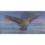 JOHN TRIVETT NETTLESHIP (1841-1902) AN OWL IN FLIGHT signed and dated l.r.: J.T.N. /1892, coloured