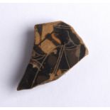 Black-Figure vessel fragment ca. 6th century BC; ; Male figure head left, probably resembling to a