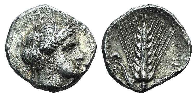 Southern Lucania, Metapontion, c. 340-330 BC. AR Stater (19mm, 7.39g, 6h). Wreathed and veiled