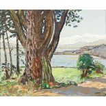 Letitia Marion Hamilton RHA (1878-1964)A View in AhakistaOil on canvas, 58.5 x 48.5cm (23 x 19'')