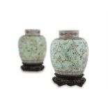 A PAIR OF 19TH CENTURY CHINESE TURQUOISE GROUND GINGER JARS AND COVERS, of ovoid form, painted and