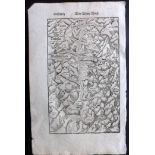 Munster, Sebastian C1580 Woodcut Map of Valais, Switzerland. Woodcut Map Published 1544-1628 for the