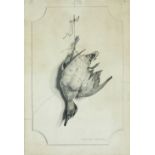 EDOUARD TRAVIES (1809- 1865) La Sarcelle d´Hiver. Litografía. 61,5 x 42 cms. De la serie “
