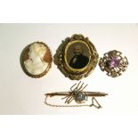 A 9ct gold spider brooch set aquamarine; a carved shell cameo brooch depicting a female portrait;