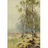 CONSTANTINE, G.H. (Born 1878). A pair of woodland scenes. Signed; watercolour: 9½” x 6¼”.