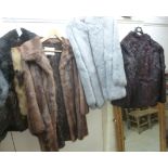 Ladies fur clothing and accessories: to