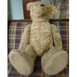 An early 20thC German golden mohair Tedd