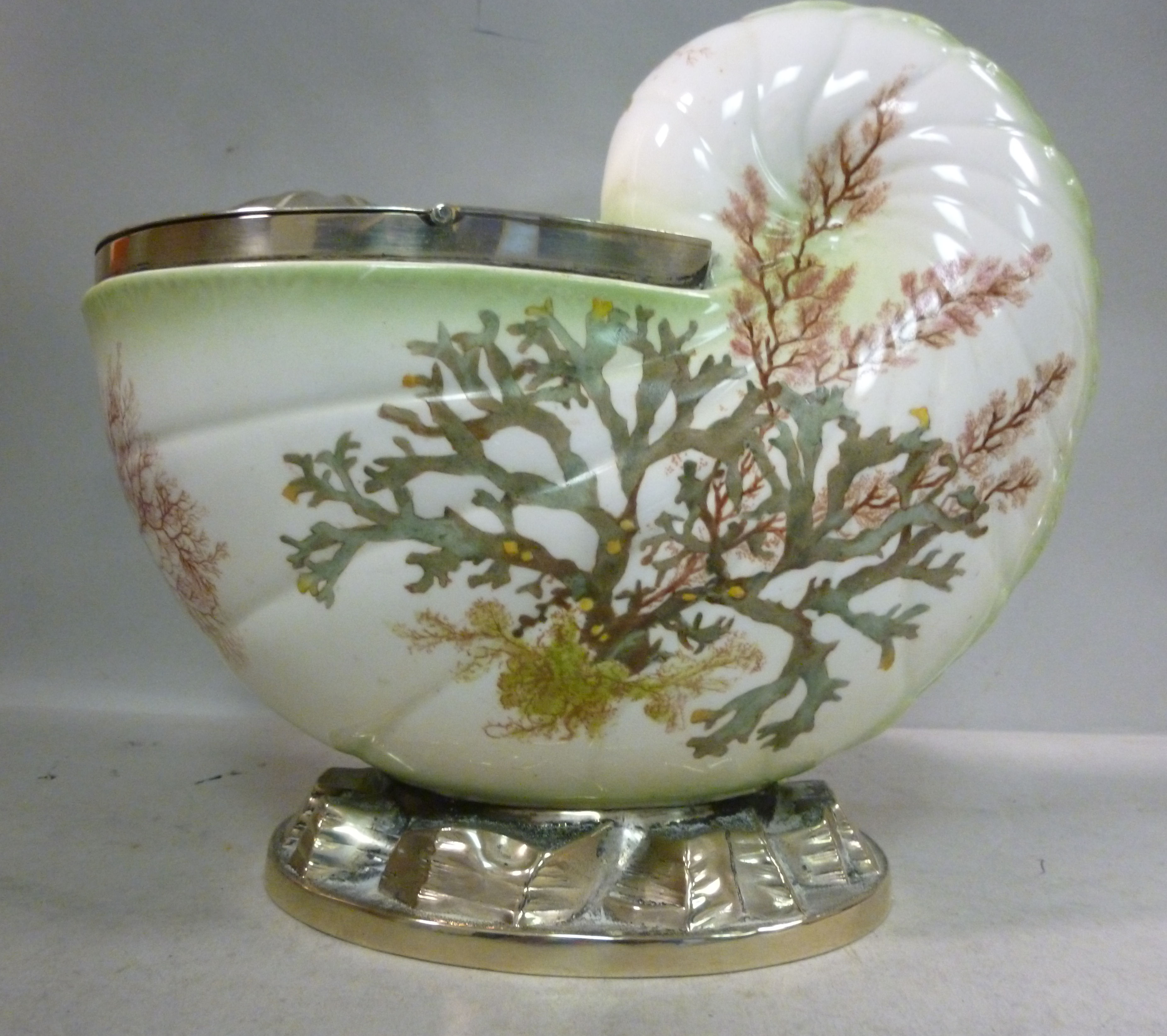 An early 20thC moulded china nautilus sh