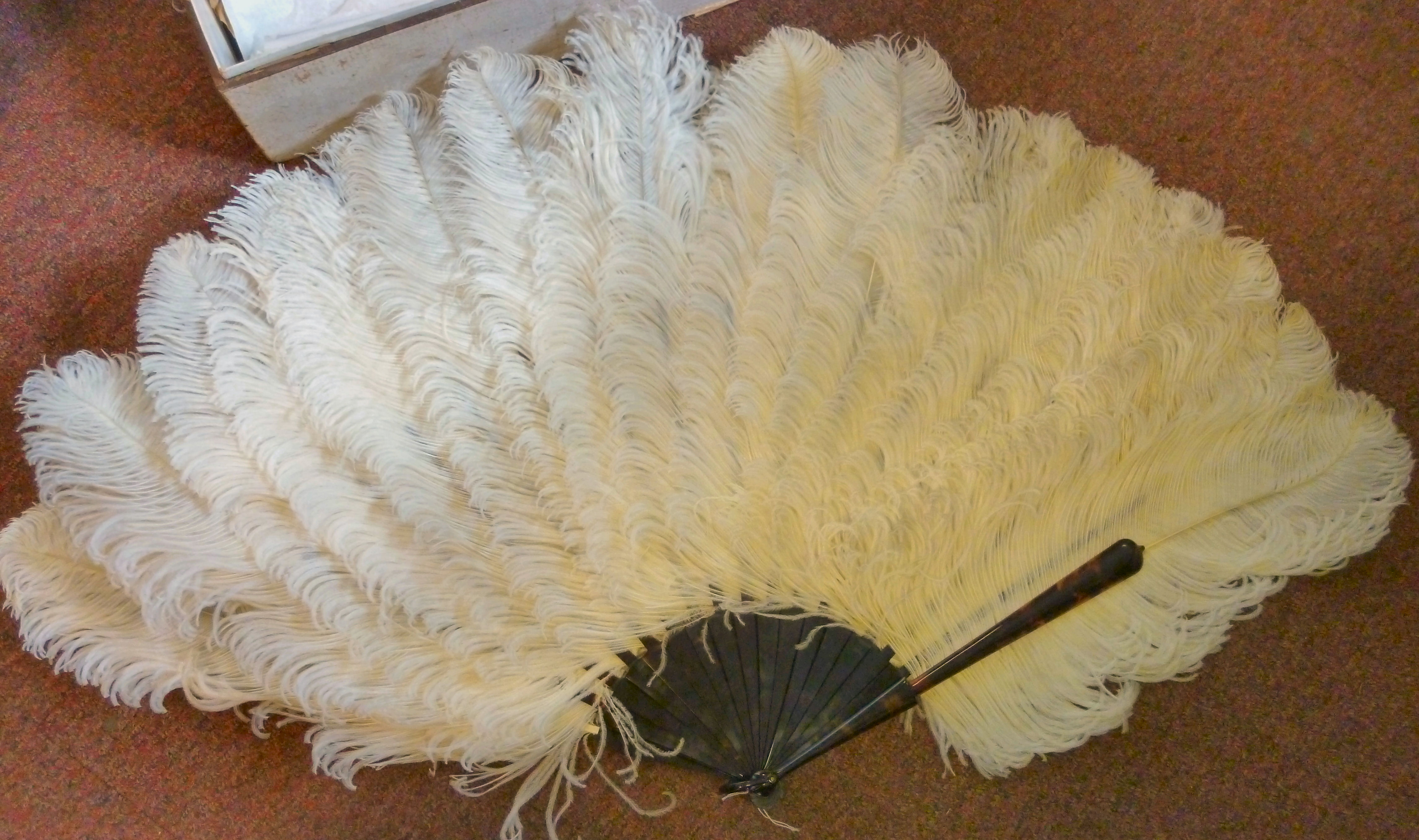 An early 20thC French white ostrich feat - Image 2 of 2