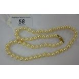 A pearl necklace, on a yellow metal clas