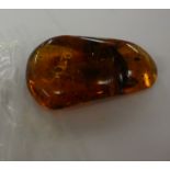 A piece of amber containing Arachnida Araneida specimens 1.