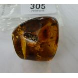 A piece of amber containing Lepidoptera specimens 1.