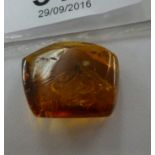 A piece of amber containing Diptera Nycetopalcidae specimens 11