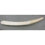 A late 19th/early 20thC curved ivory page turner 20''L OS3